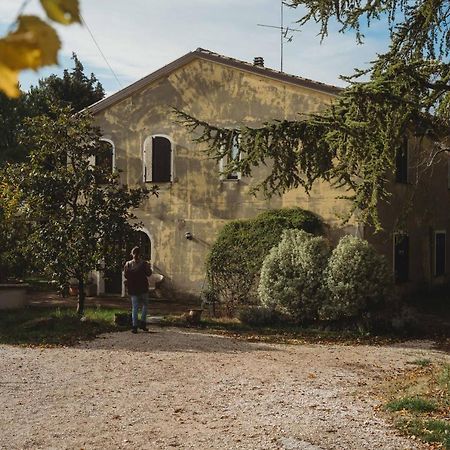 Casa Monteluro - B&B Tavullia Dış mekan fotoğraf