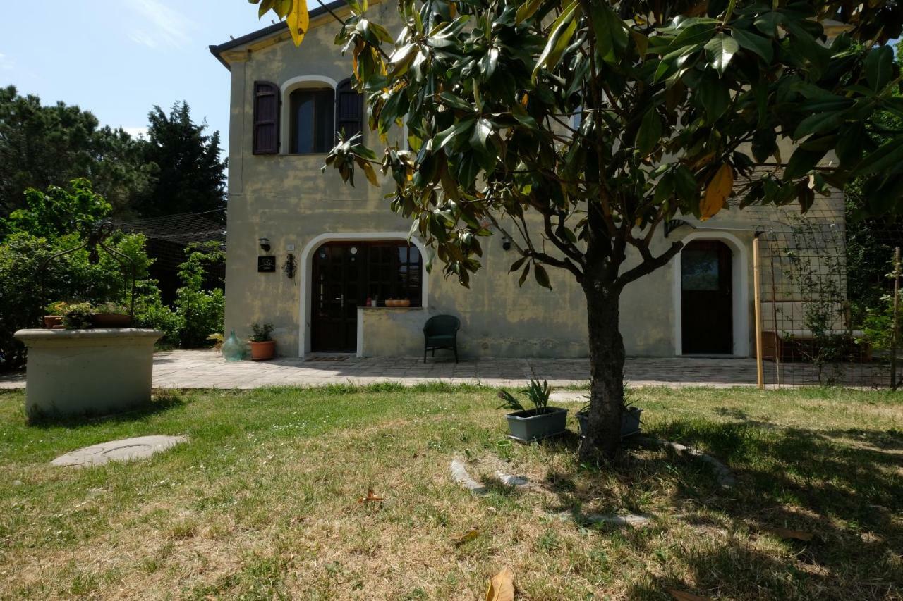 Casa Monteluro - B&B Tavullia Dış mekan fotoğraf