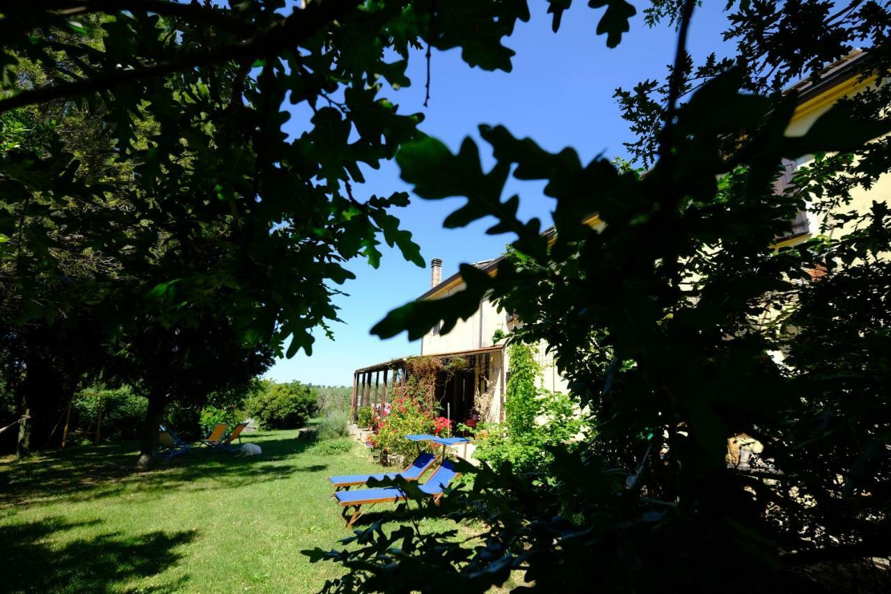 Casa Monteluro - B&B Tavullia Dış mekan fotoğraf